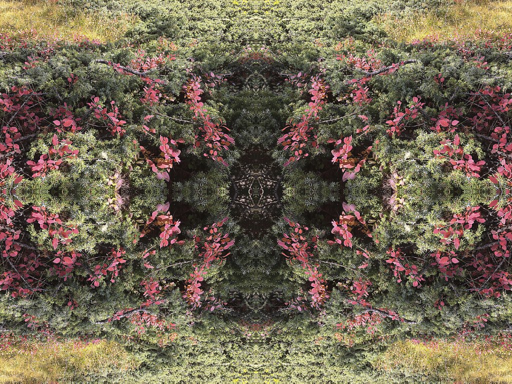 mandala-500.jpg