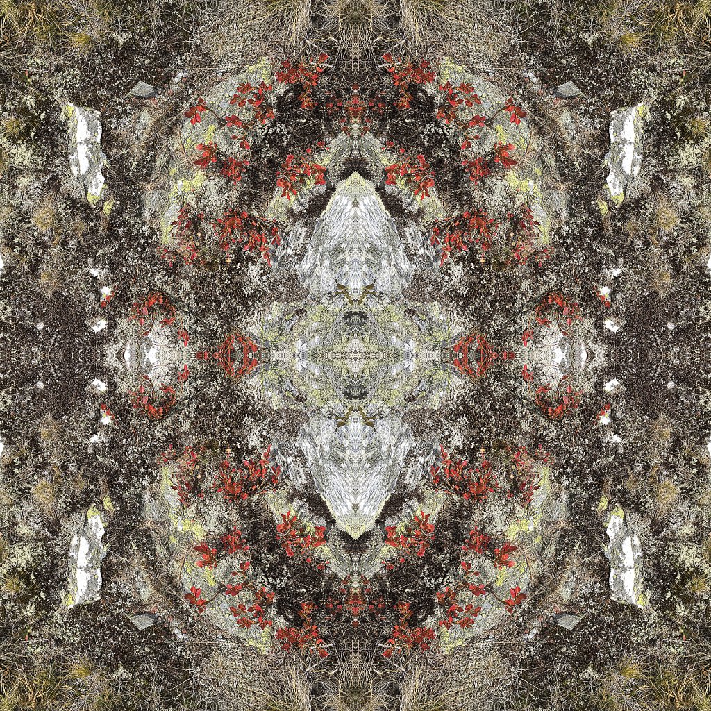 mandala-501.jpg