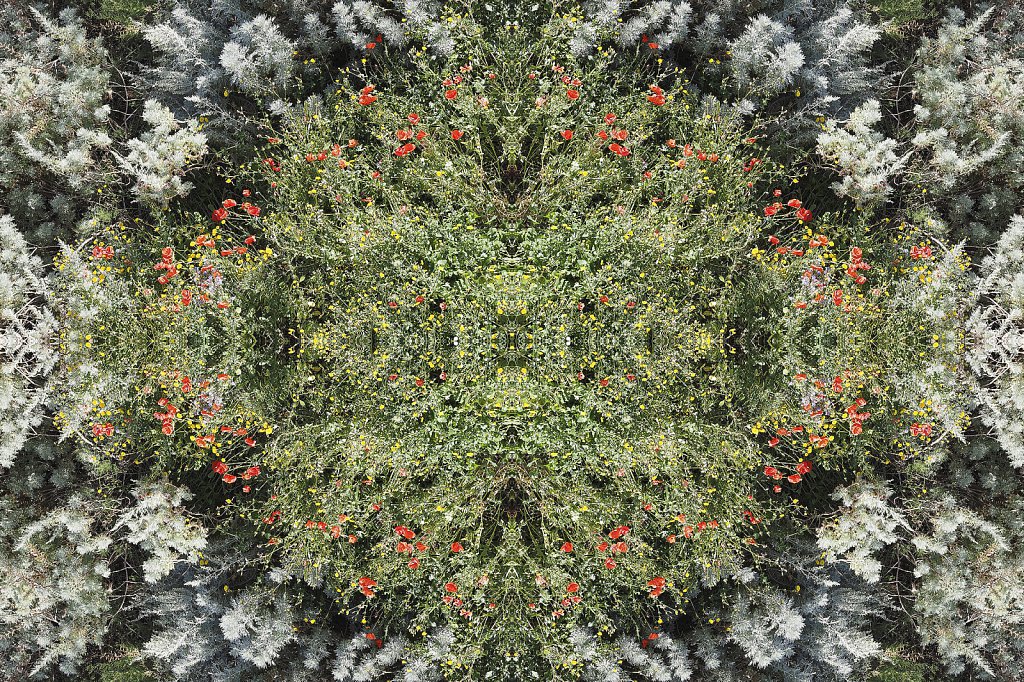 mandala-504.jpg