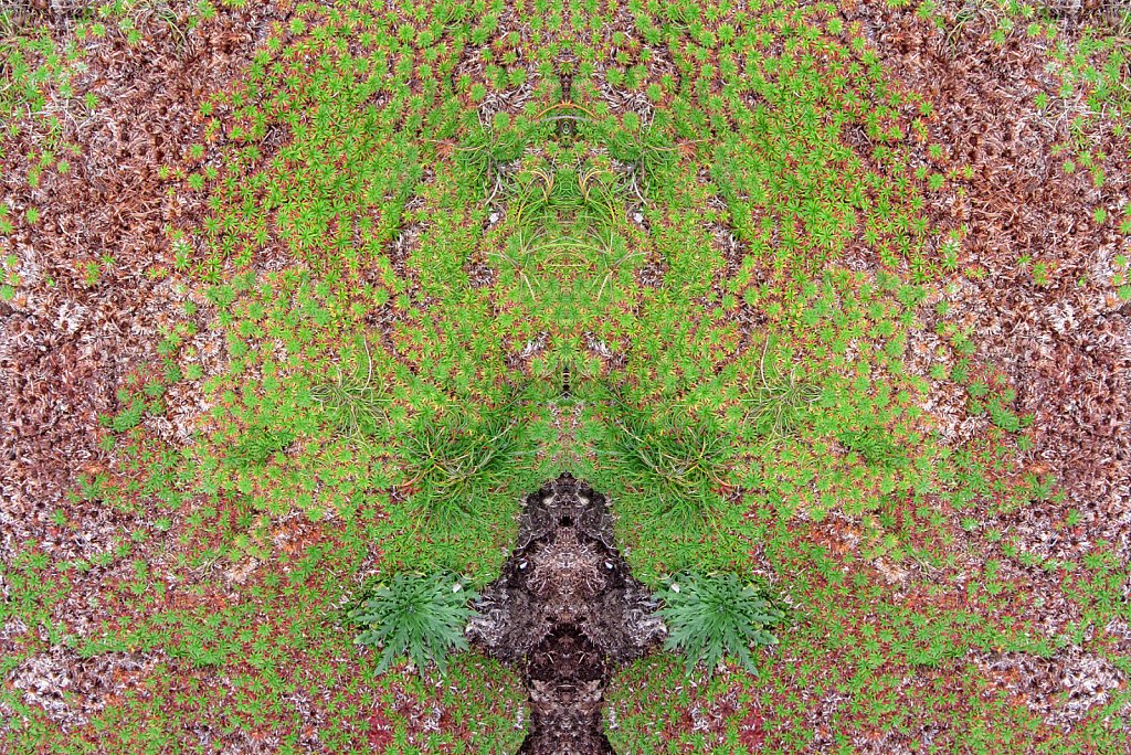 natursp-065.jpg
