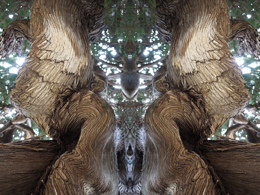 natursp-009.jpg