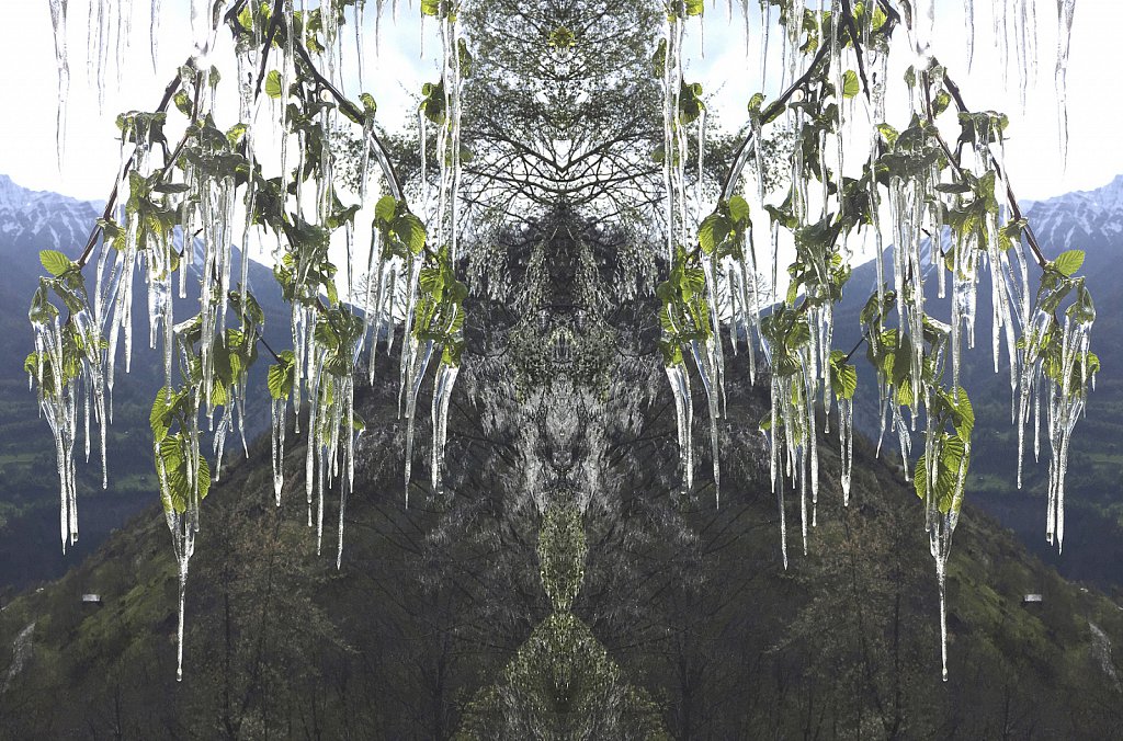 natursp-011.jpg