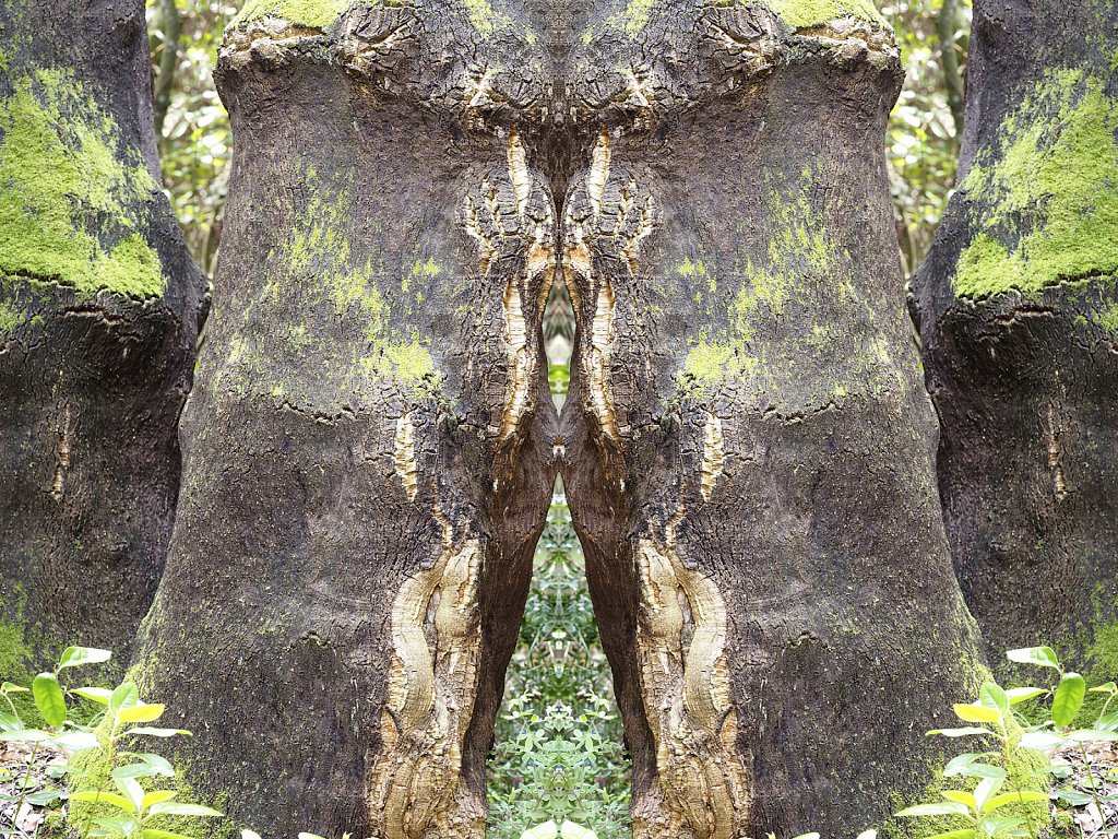 natursp-015.jpg