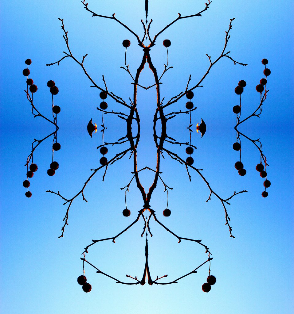 natursp-035.jpg