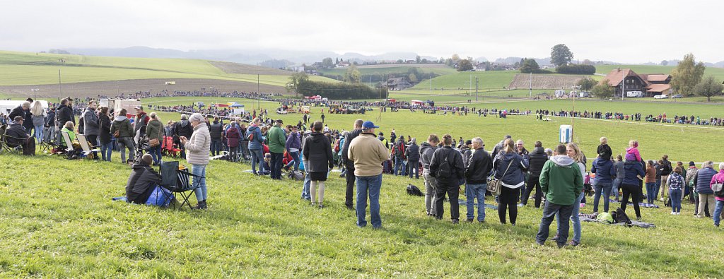 Bauernpferderennen-091022-004.jpg