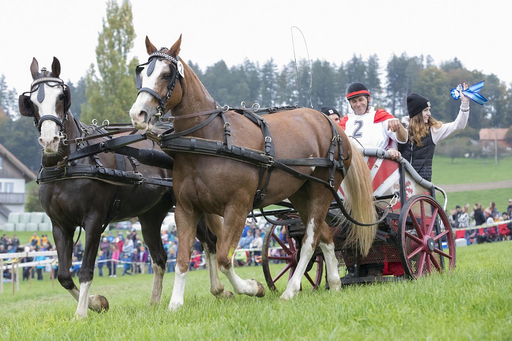 Bauernpferderennen-091022-220.jpg