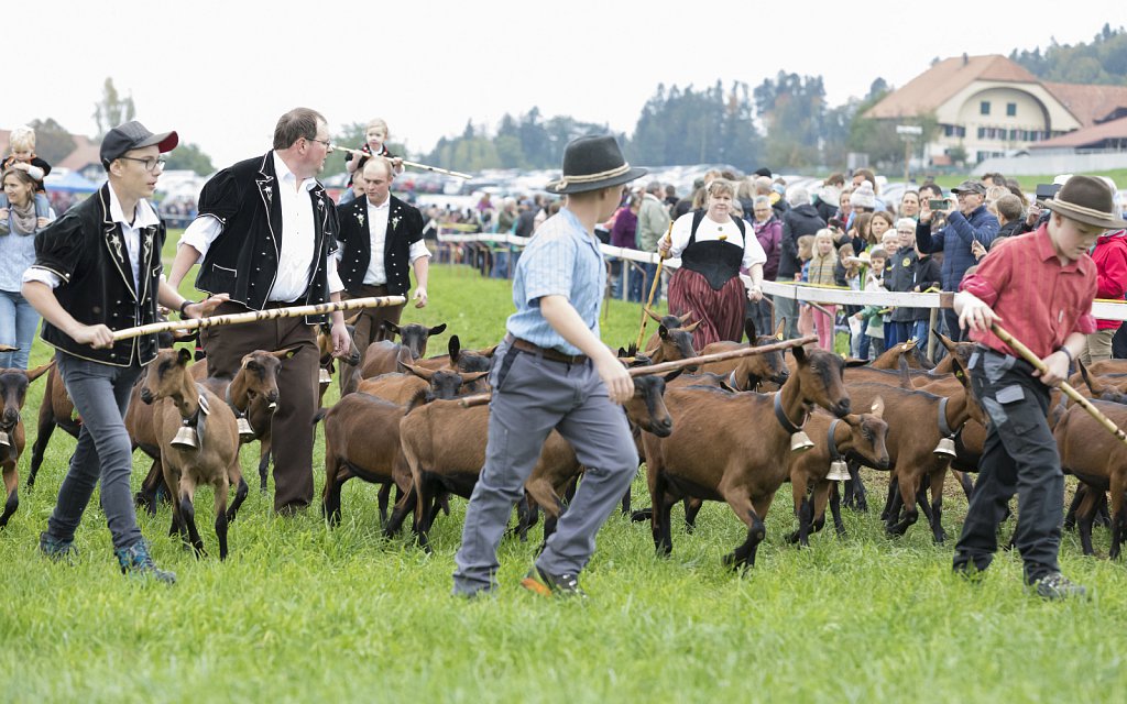 Bauernpferderennen-091022-228.jpg