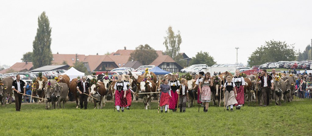 Bauernpferderennen-091022-239.jpg