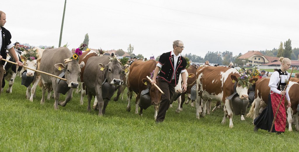 Bauernpferderennen-091022-246.jpg