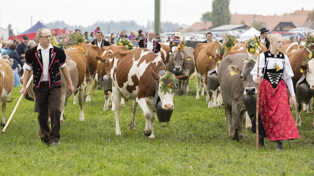 Bauernpferderennen-091022-333.jpg