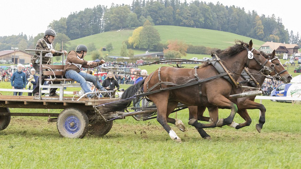 Bauernpferderennen-091022-367.jpg