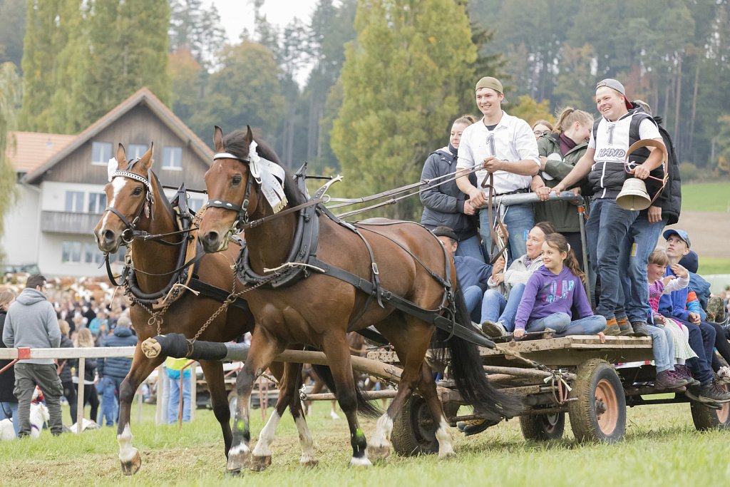 Bauernpferderennen-091022-386.jpg