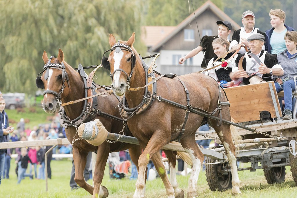 Bauernpferderennen-091022-390.jpg