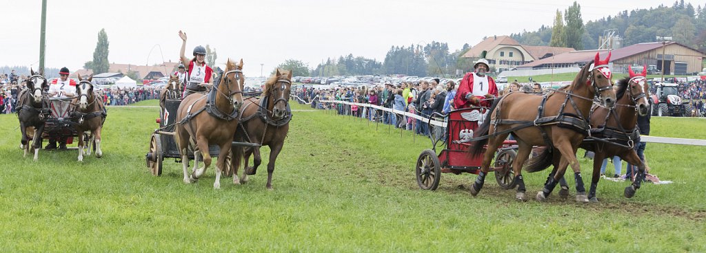 Bauernpferderennen-091022-211.jpg