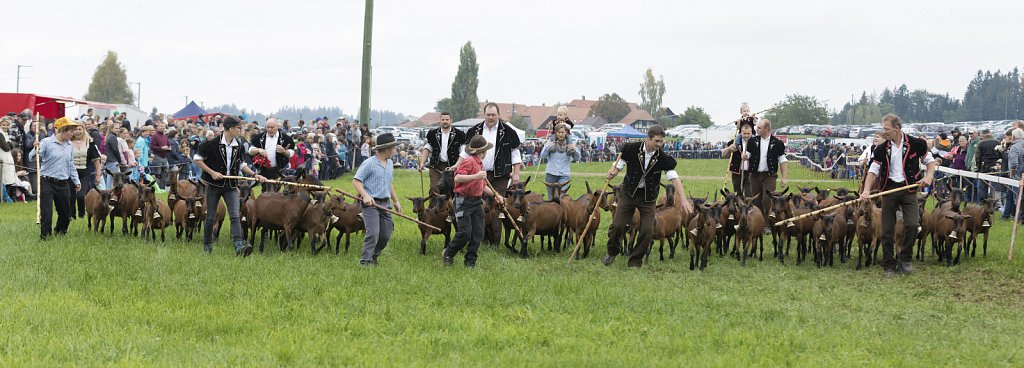 Bauernpferderennen-091022-225.jpg