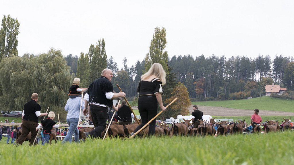 Bauernpferderennen-091022-232.jpg