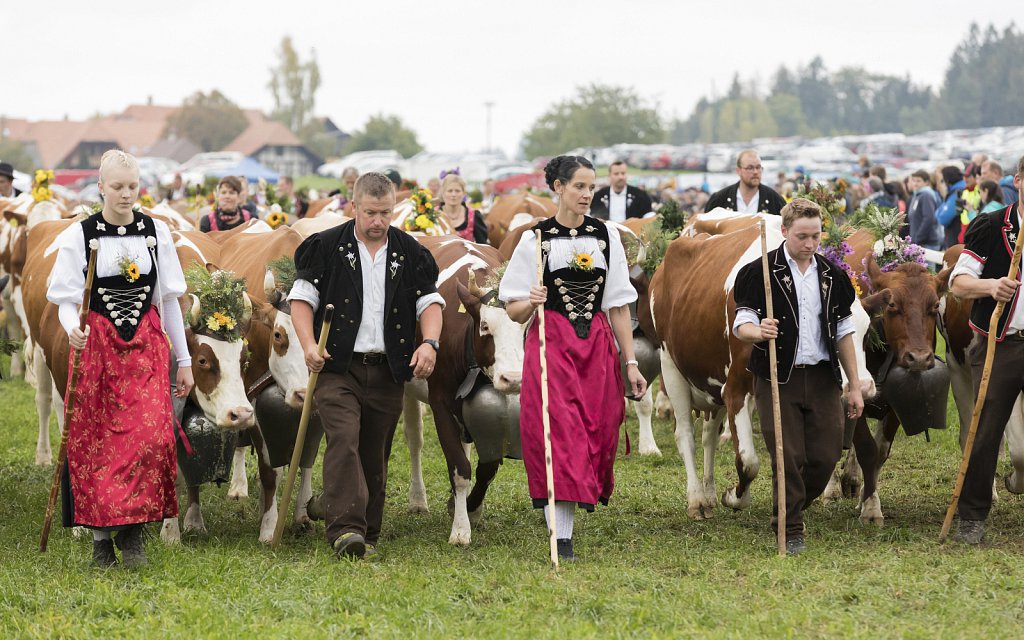 Bauernpferderennen-091022-289.jpg