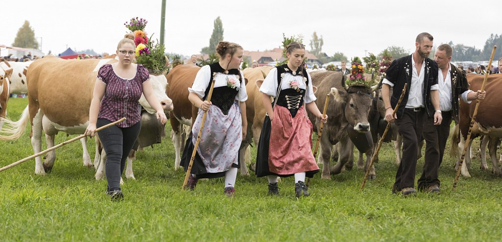 Bauernpferderennen-091022-309.jpg