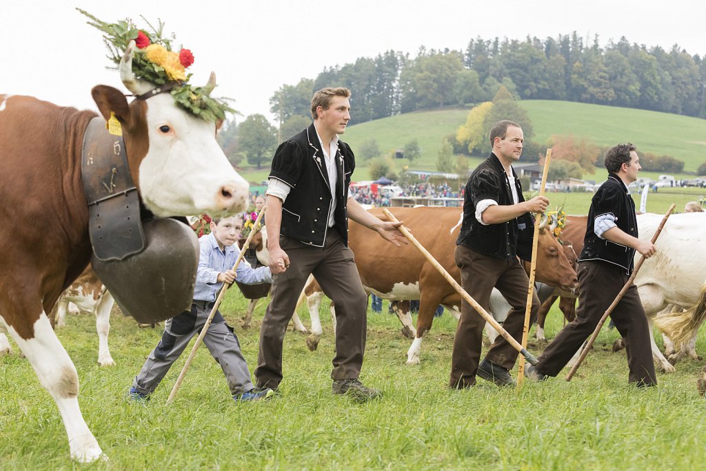 Bauernpferderennen-091022-336.jpg