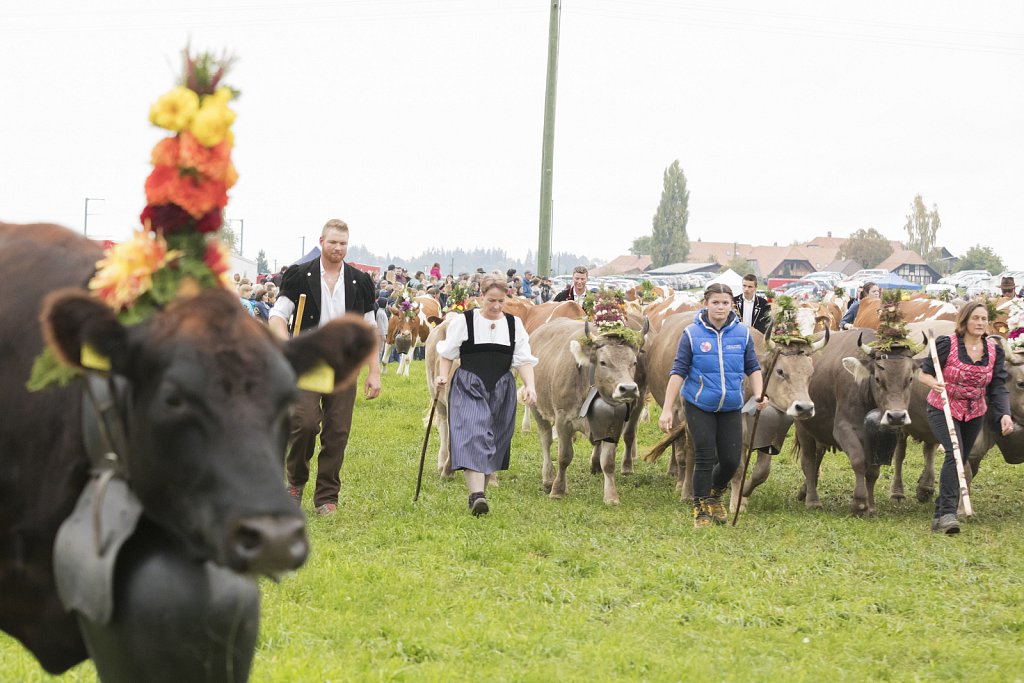 Bauernpferderennen-091022-338-2.jpg