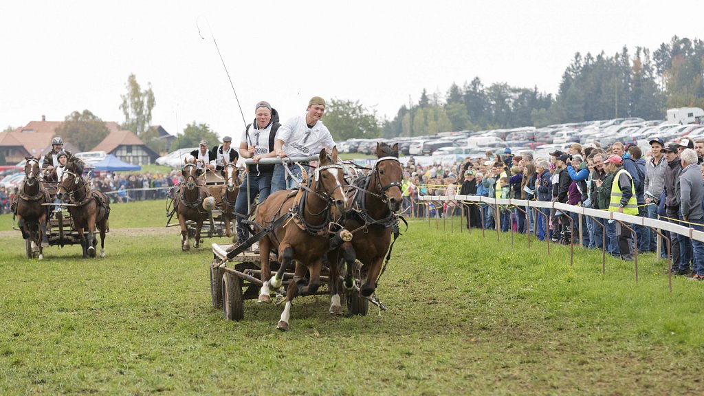 Bauernpferderennen-091022-364.jpg