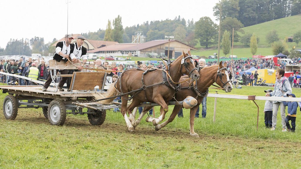 Bauernpferderennen-091022-376.jpg