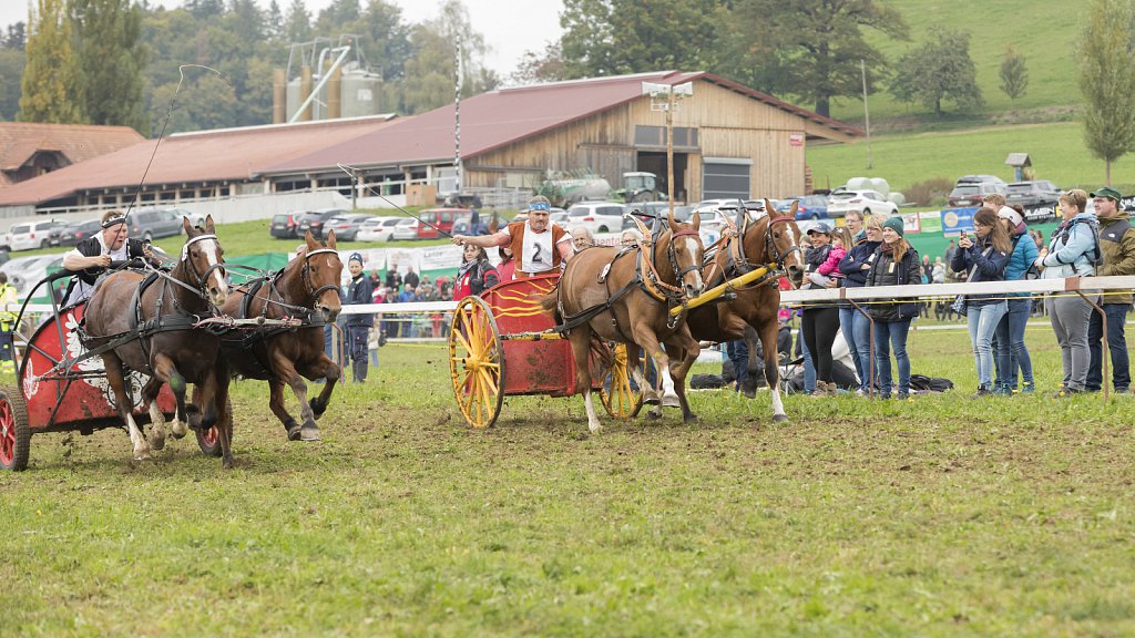 Bauernpferderennen-091022-480.jpg