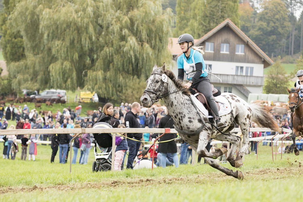 Bauernpferderennen-091022-443.jpg